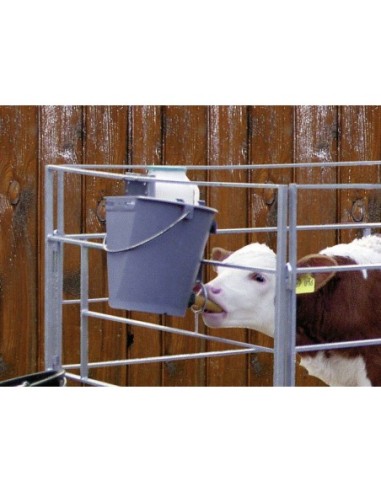 Calf Feeding Bucket Plastic