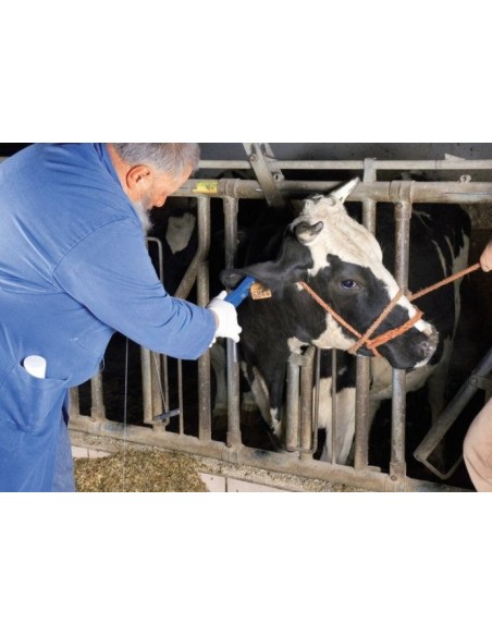 Applicator for ukal-flex eartags
