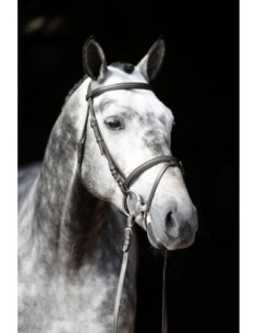Bridle Standard