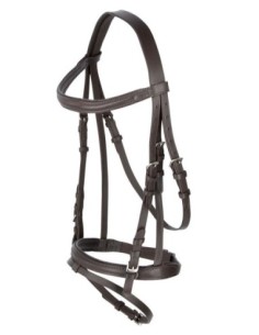 Bridle Standard 2