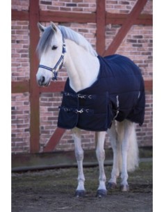 Horse Blanket RugBe Indoor 2