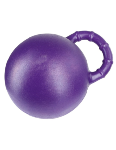 Horse play ball 2