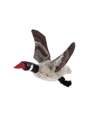 Goose Nils