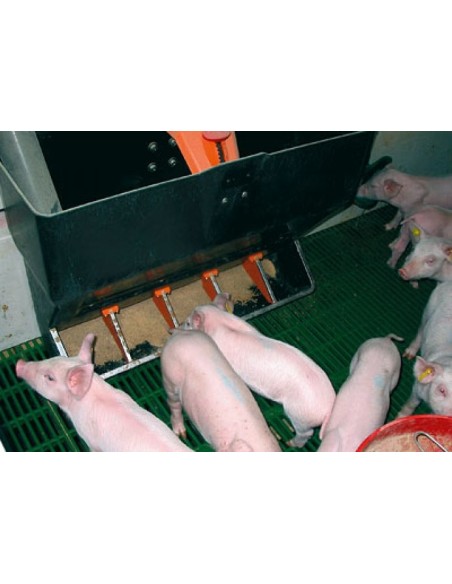 TR-5 Feeding Machine for Piglets