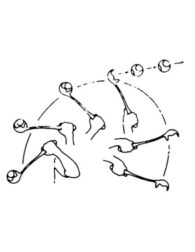 Catapult stick MAXI SPEED