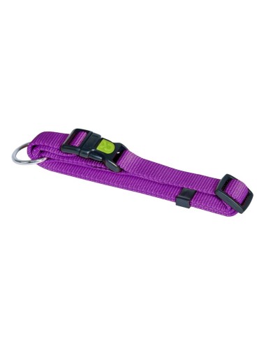 Collar MIAMI Purple  different sizes