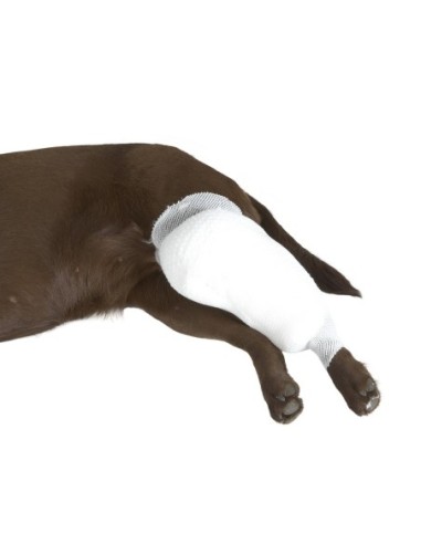 BUSTER Tubular Stretch Bandage, white, 5 cm x...