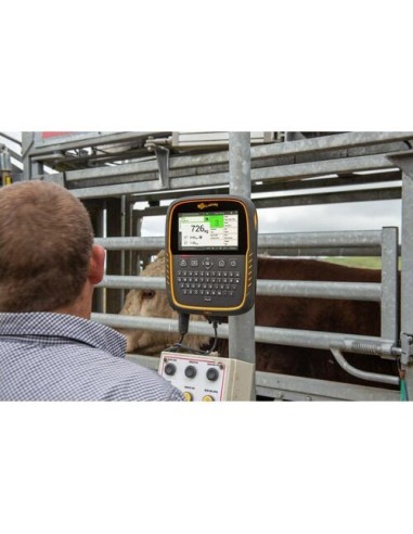 Scale Reader TWR-5 Weigh Scale & Reader