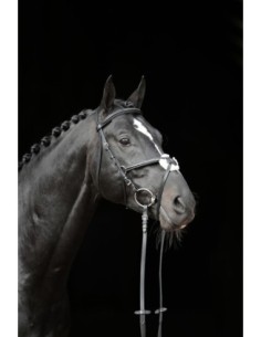 Bridle Cancun 2