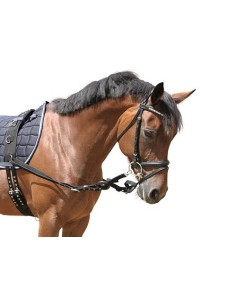 Side Reins