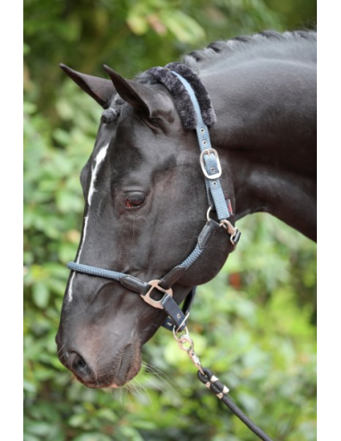 Halter Cordano