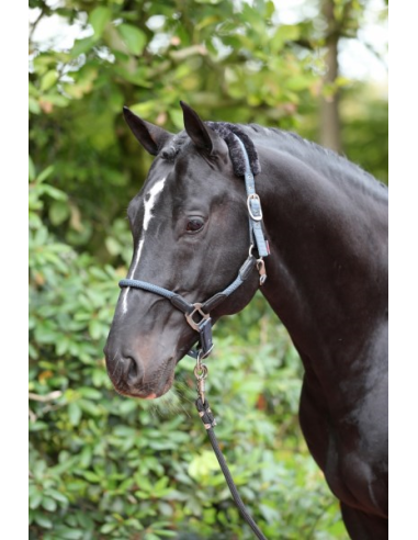 Halter Cordano