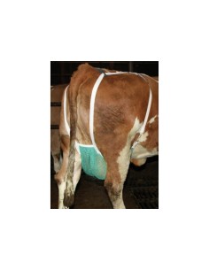 Udder Protection 2