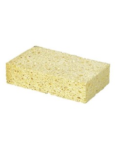 Sponge