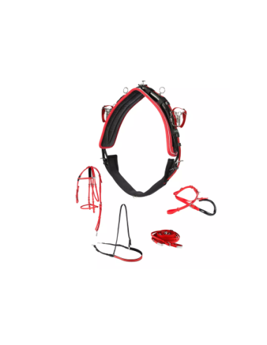 PRO QH SYNTHETIC (100% BETA) HARNESS, COMPLETE