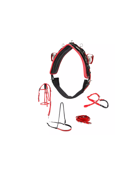 PRO QH SYNTHETIC (100% BETA) HARNESS, COMPLETE