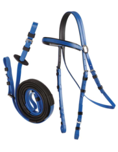 Race Bridle/Buckle Reins