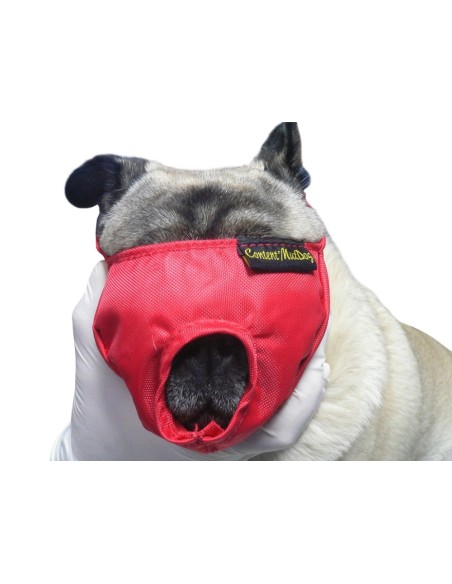BUSTER Vet Nylon muzzle
