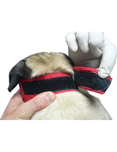 BUSTER Vet Nylon muzzle