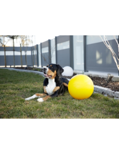 Dog Toy Ball 30cm 2