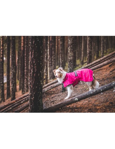 Dog raincoat Hase Rukka