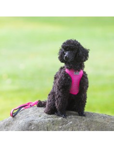 Dog harness comfort AIR Rukka