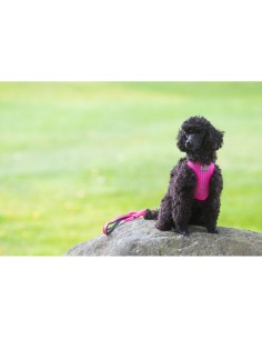 Dog harness comfort AIR Rukka 2
