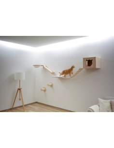 Climbing Wall Anden