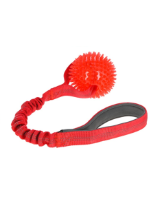 Bungee Toy