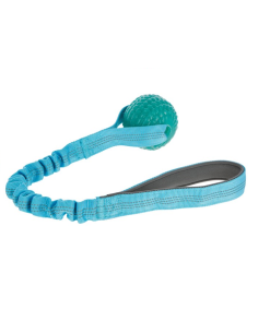 Bungee Toy
