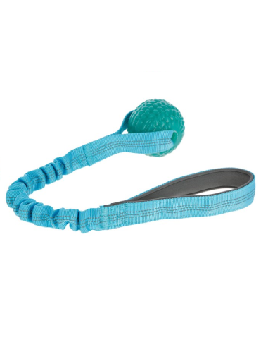 Bungee Toy
