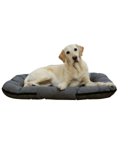 Pet Cushion Oxford Place