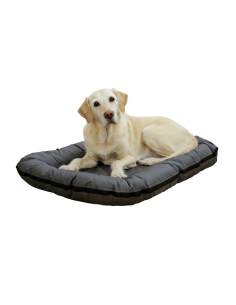 Pet Cushion Oxford Place 2