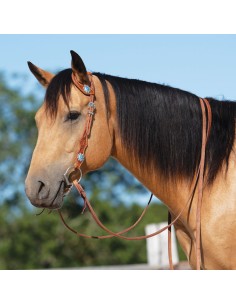 WESTERN BLAZER CHICKASAW