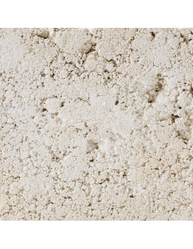 CHICK'A GNAWING BLOCK FOR ALL RODENTS 2 x 100 gr