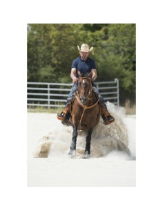 WESTRIDE “AURORA” HUNTING BREASTPLATE BY FRANCK PERRET 2