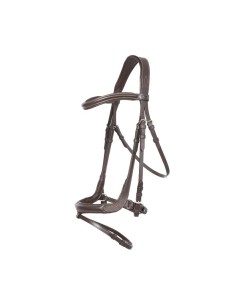 Bridle Ivy english nb. - flash 2