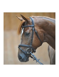 Leather bridle for horses Kavalkade Quentin with english...