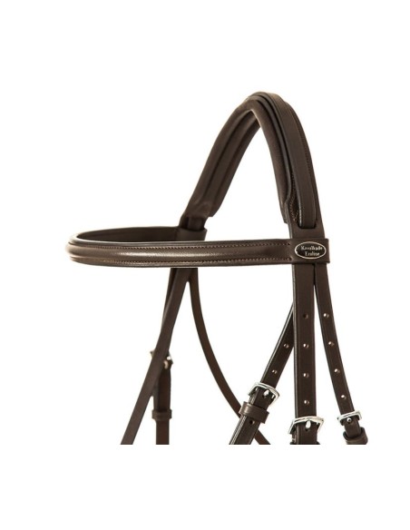 Leather bridle for horses Kavalkade Quentin with english noseband
