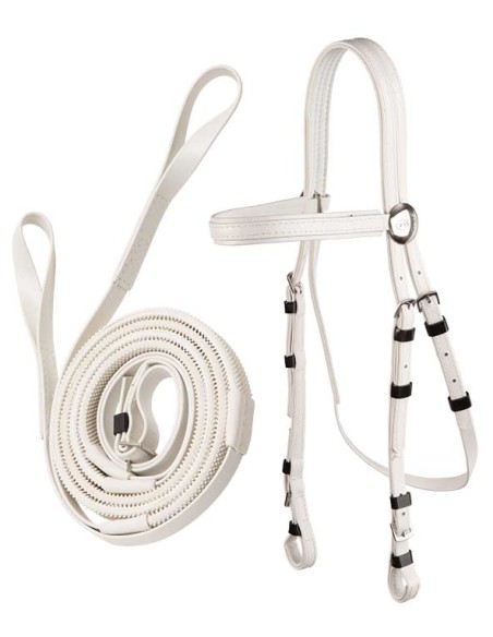 Race bridle/loop end reins Zilco Loop
