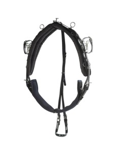 Finntack Pro harness synthetic Blue