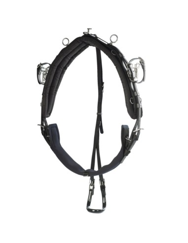 Finntack Pro harness synthetic Blue