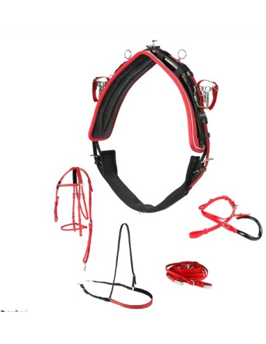 PRO QH SYNTHETIC (100% BETA) HARNESS, COMPLETE