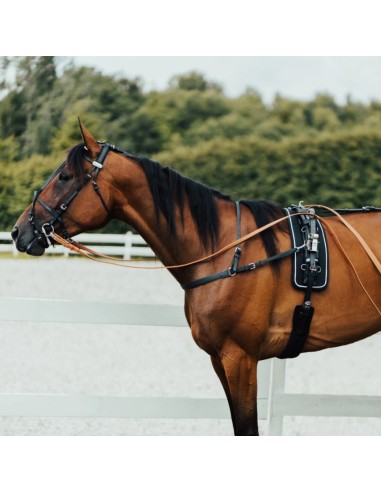 PRO QH SYNTHETIC (100% BETA) HARNESS, COMPLETE