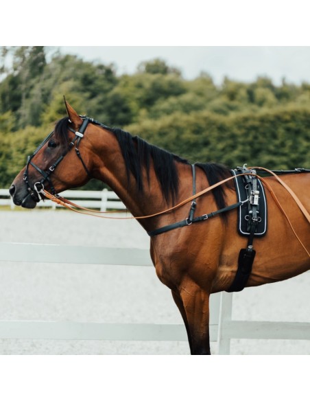 PRO QH SYNTHETIC (100% BETA) HARNESS, COMPLETE