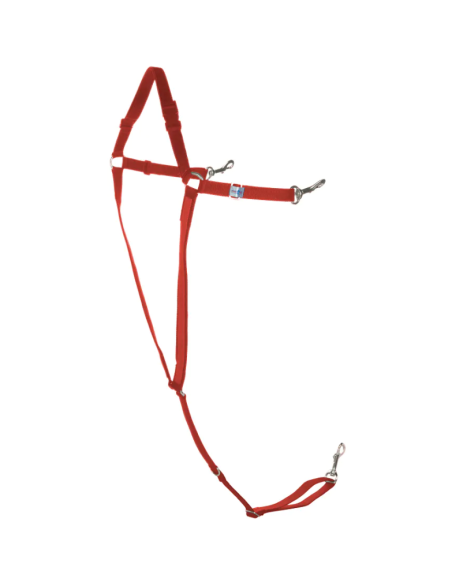 Y-shaped breast collar