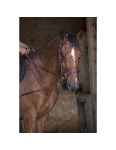 NORTON PRO SHORT ELASTIC SIDE REINS WITH PULLEYS 2