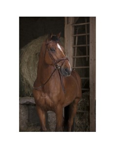 NORTON PRO RUBBER REINS "Small"