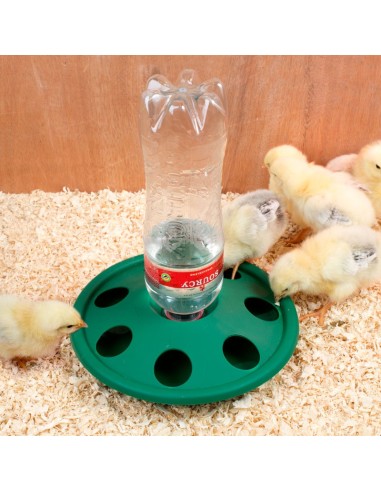 Chick drinker with 7 holes for soda bottle...