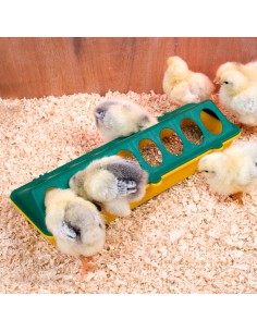 Chick feeder, linear yellow / green,16 holes, 30 cm 2